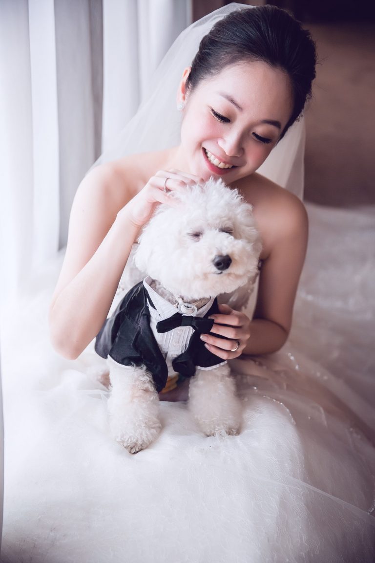 新娘與愛犬